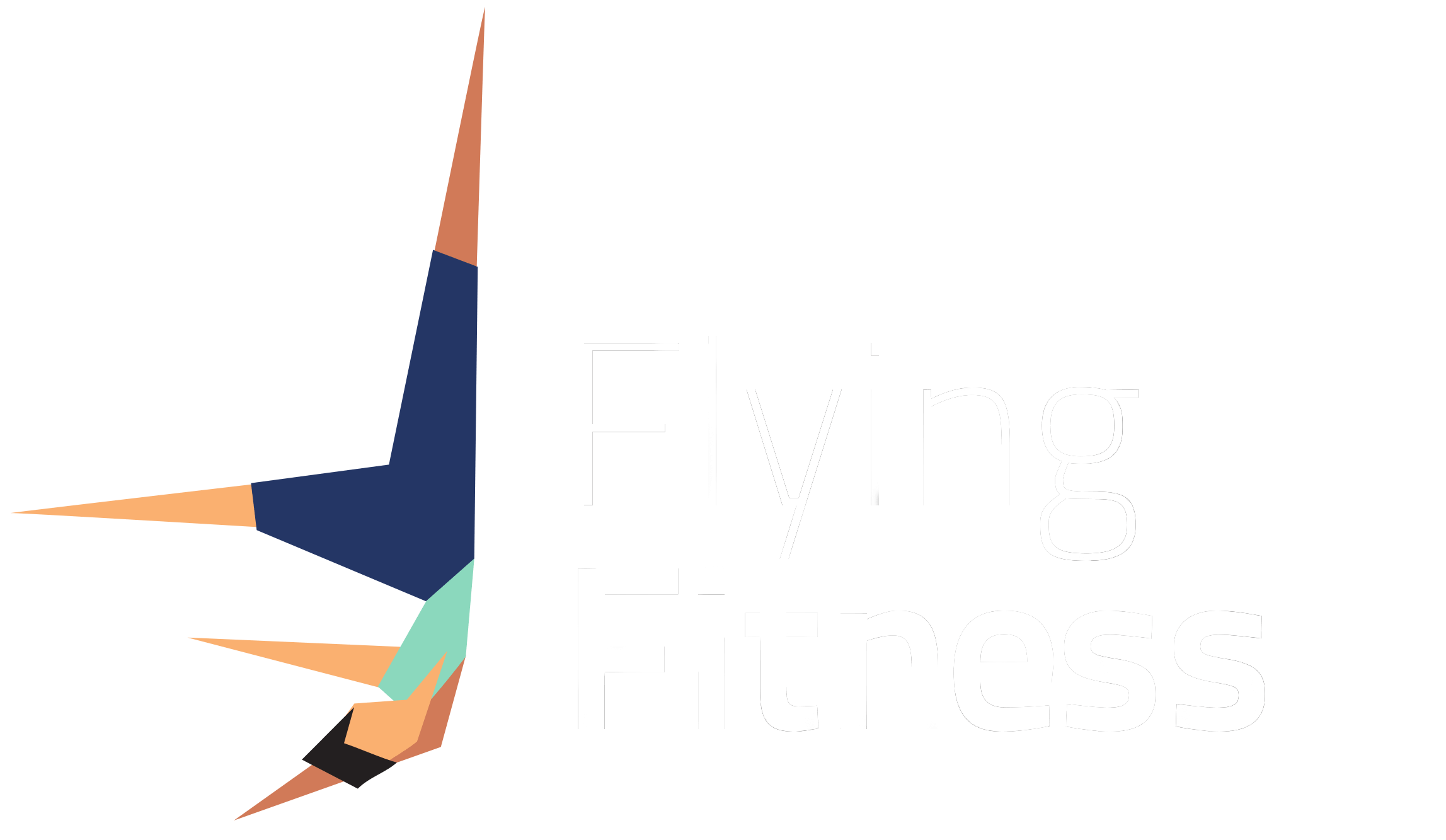 Flying Fitness